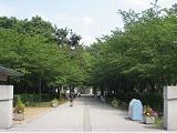 東京経済大学