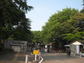 東京学芸大学