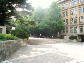 早稲田大学